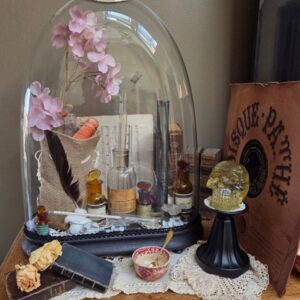 Un cabinet de curiosités thème "apothicaire"