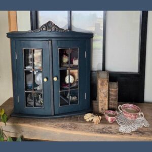 Un cabinet de curiosités en vitrine