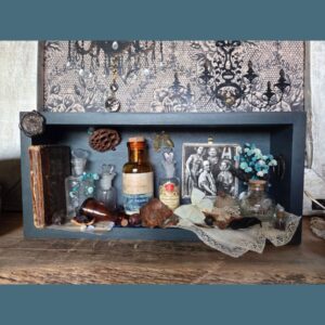 Un cabinet de curiosités: l'écrin du temps