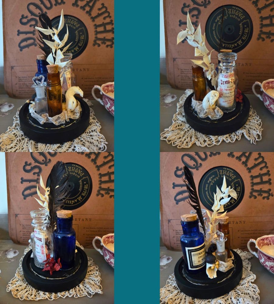 Petit cabinet de curiosités sous globe en verre – Image 18