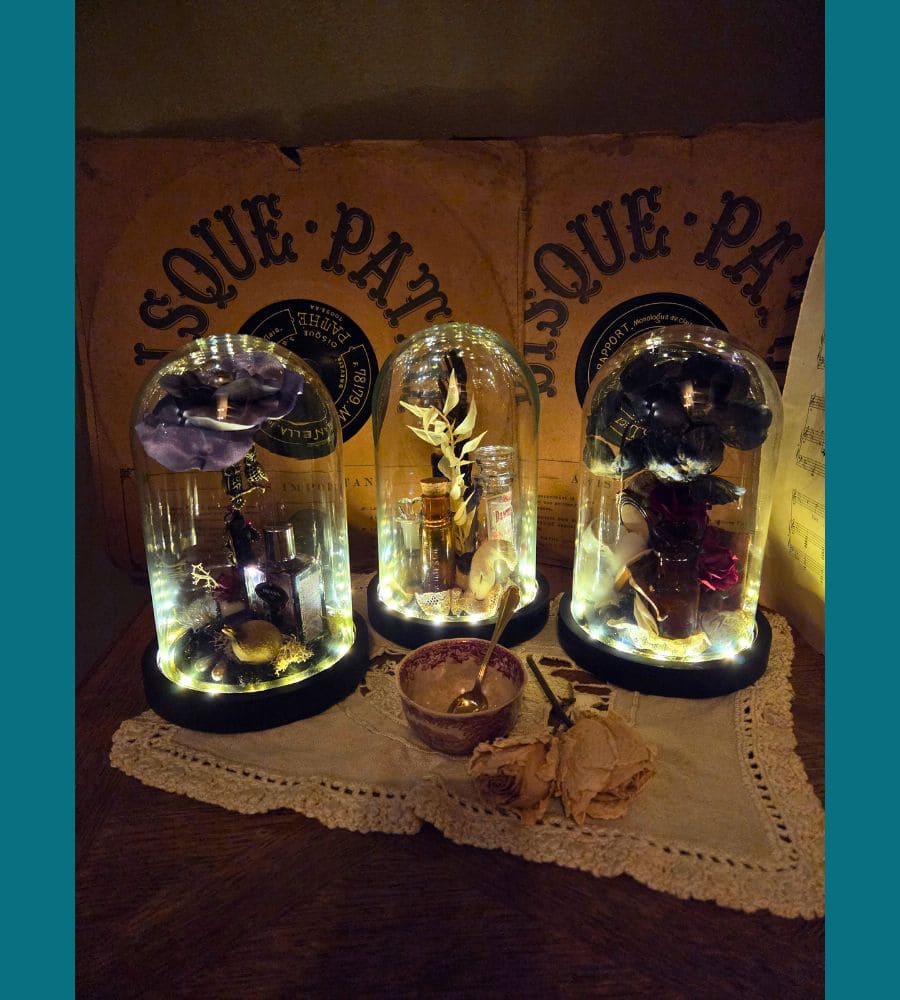 Petit cabinet de curiosités sous globe en verre – Image 5
