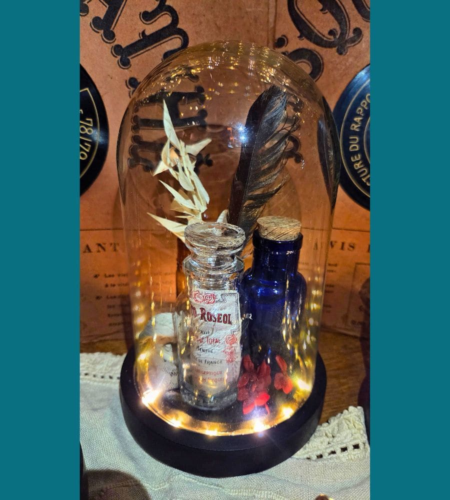 Petit cabinet de curiosités sous globe en verre – Image 22