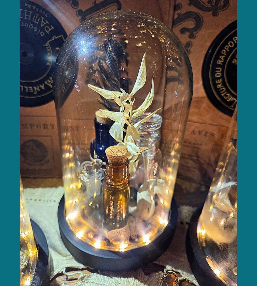 Petit cabinet de curiosités sous globe en verre – Image 21