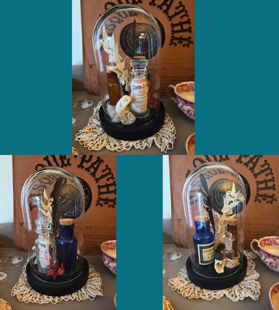 Petit cabinet de curiosités sous globe en verre – Image 20