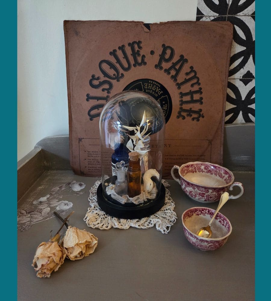 Petit cabinet de curiosités sous globe en verre – Image 19