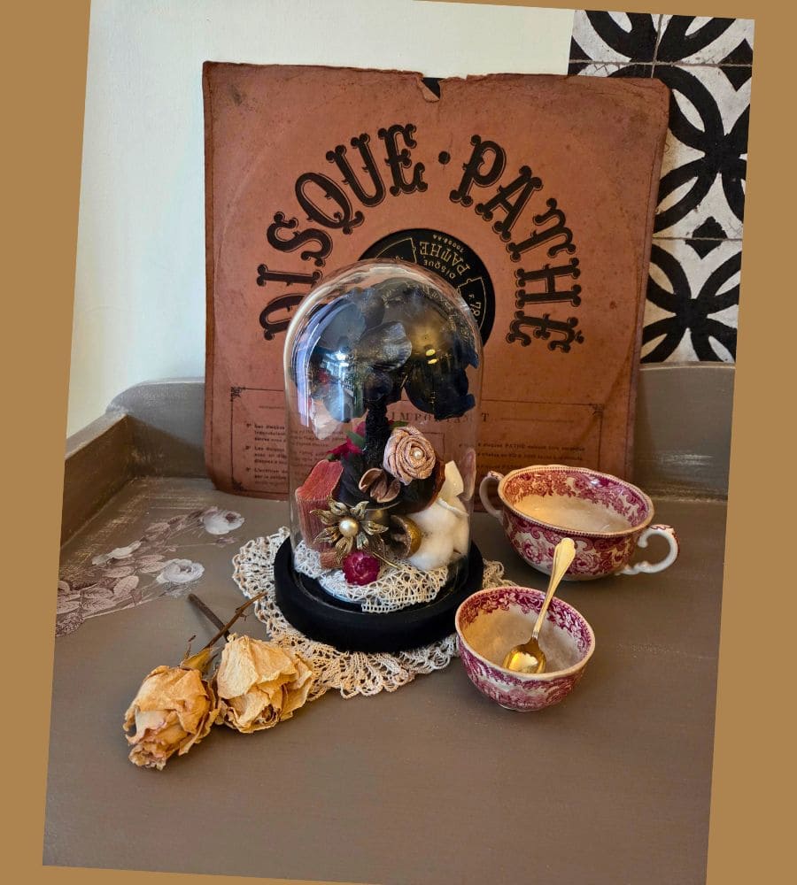 Petit cabinet de curiosités sous globe en verre – Image 12