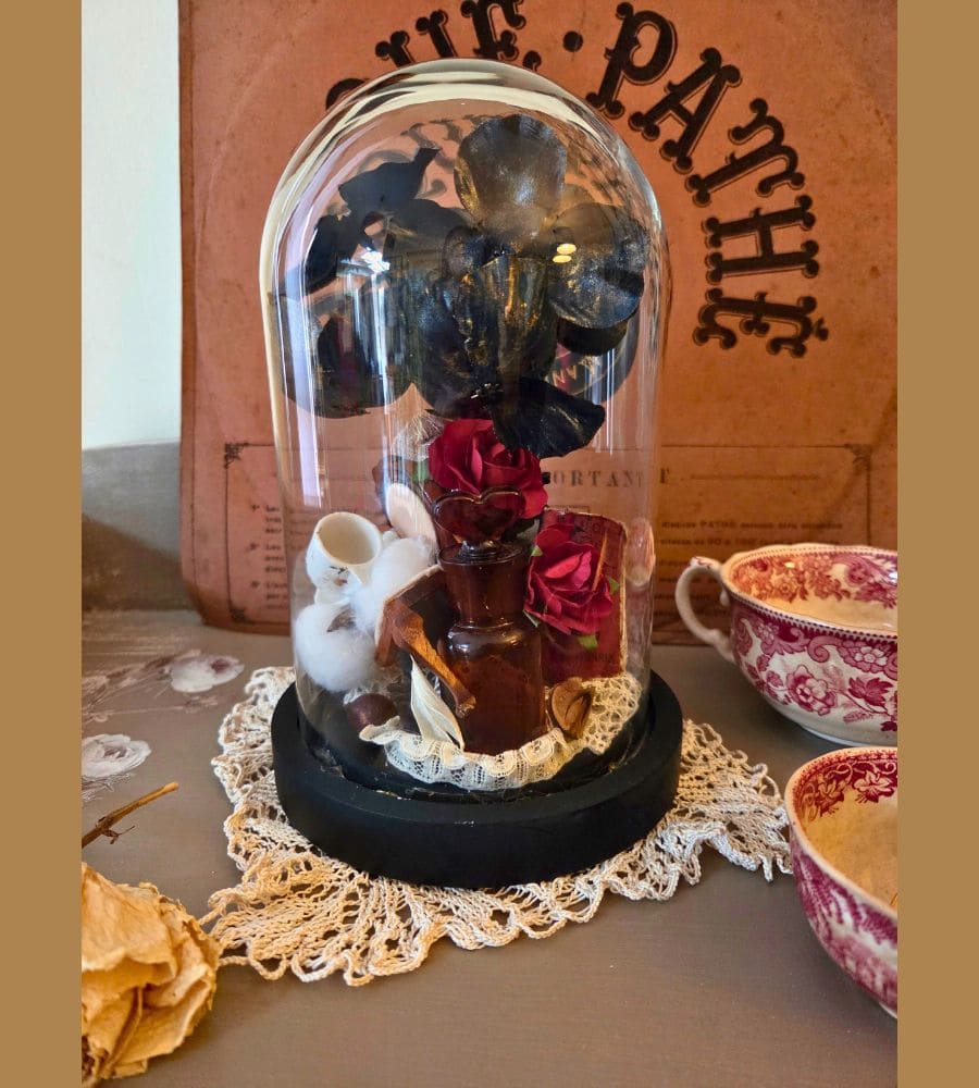 Petit cabinet de curiosités sous globe en verre – Image 11