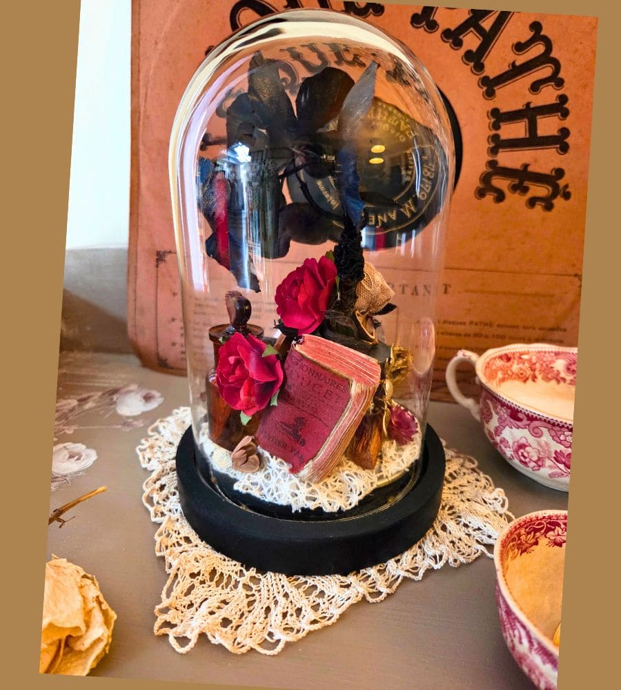 Petit cabinet de curiosités sous globe en verre – Image 10