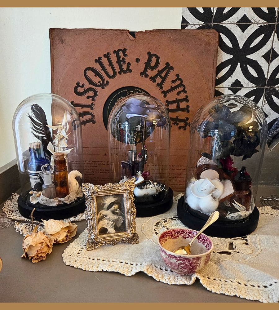 Petit cabinet de curiosités sous globe en verre – Image 8