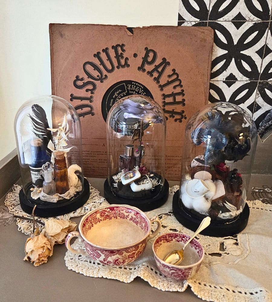 Petit cabinet de curiosités sous globe en verre – Image 2