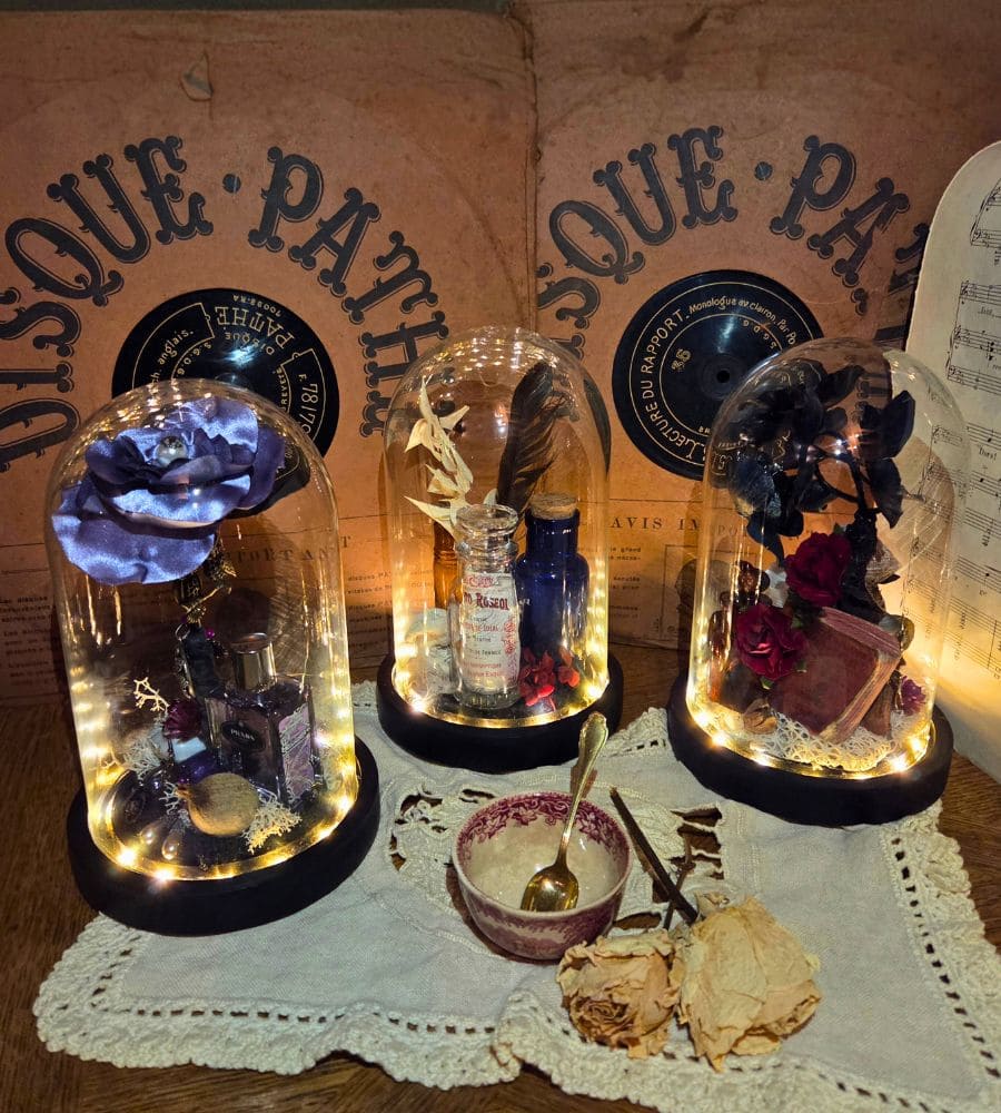 Petit cabinet de curiosités sous globe en verre