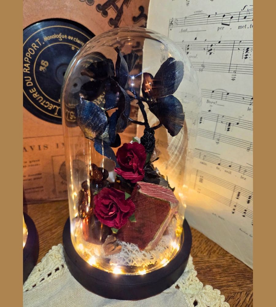 Petit cabinet de curiosités sous globe en verre – Image 17