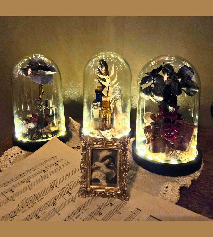 Petit cabinet de curiosités sous globe en verre – Image 3