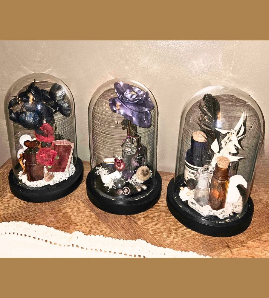 Petit cabinet de curiosités sous globe en verre – Image 23