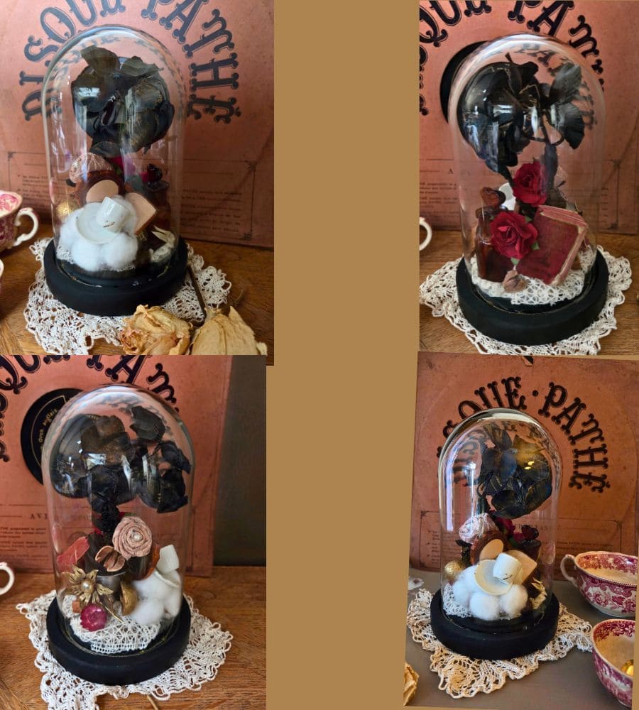 Petit cabinet de curiosités sous globe en verre – Image 14