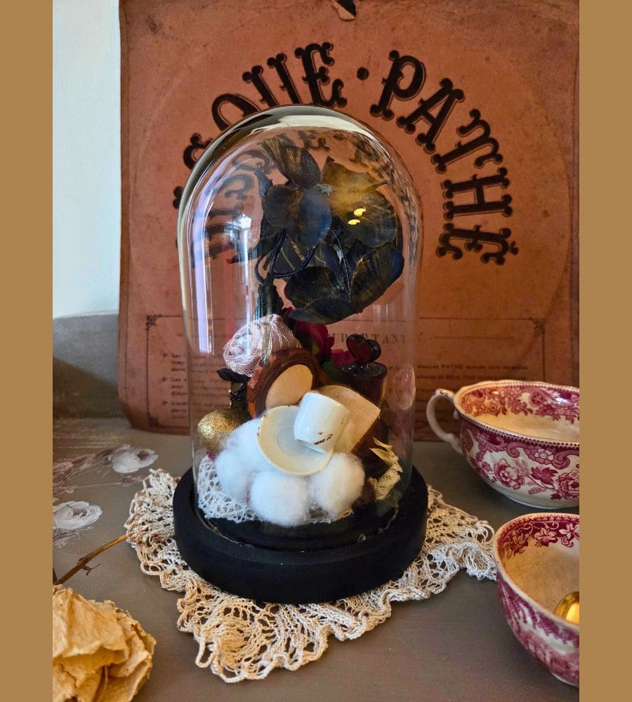 Petit cabinet de curiosités sous globe en verre – Image 13