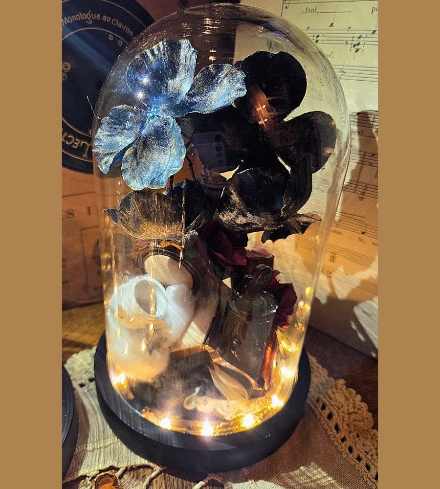 Petit cabinet de curiosités sous globe en verre – Image 6