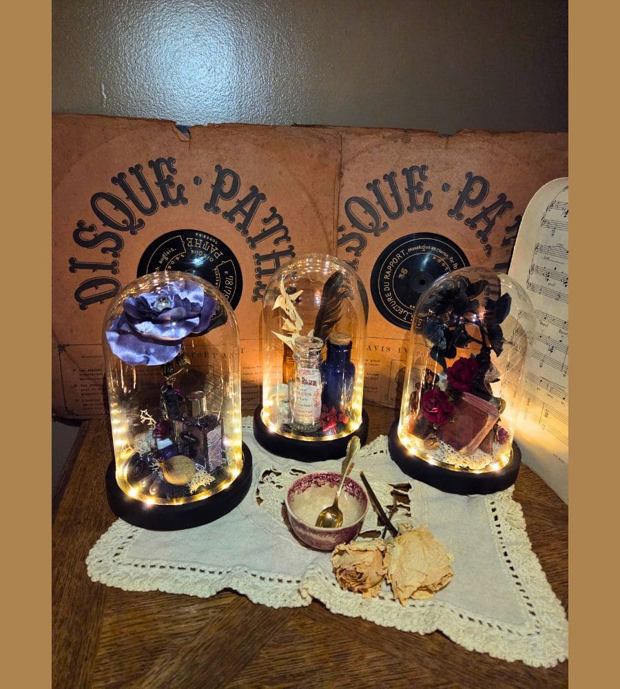 Petit cabinet de curiosités sous globe en verre – Image 4